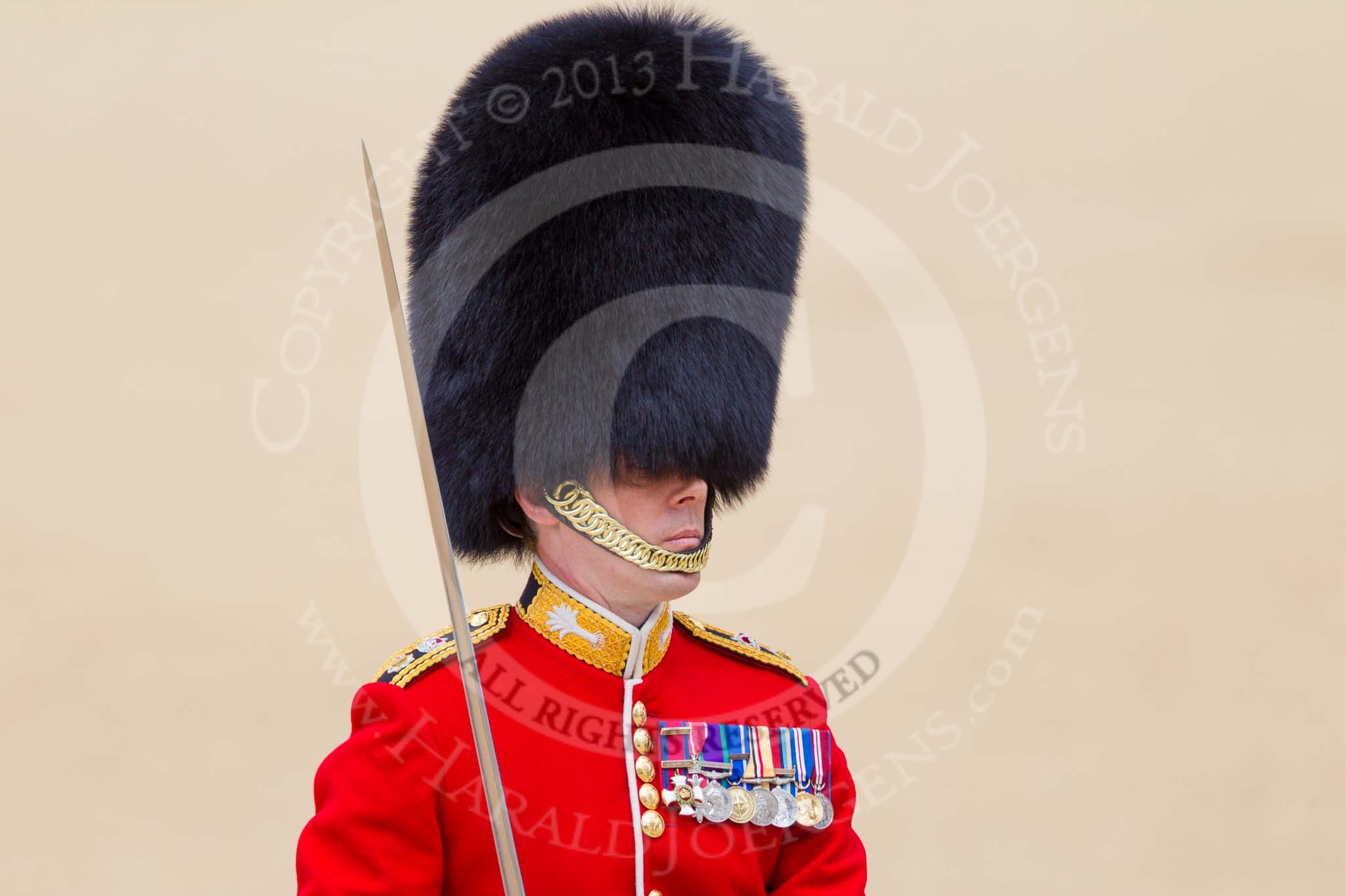 The Colonel's Review 2015.
Horse Guards Parade, Westminster,
London,

United Kingdom,
on 06 June 2015 at 11:38, image #405