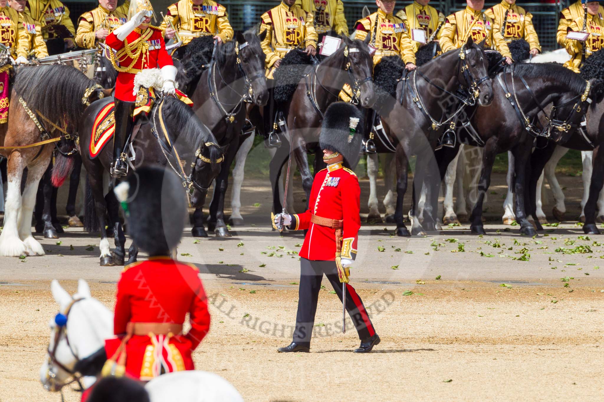 The Colonel's Review 2015.
Horse Guards Parade, Westminster,
London,

United Kingdom,
on 06 June 2015 at 11:39, image #409