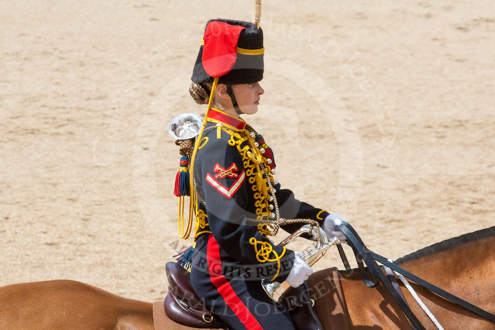 The Colonel's Review 2015.
Horse Guards Parade, Westminster,
London,

United Kingdom,
on 06 June 2015 at 11:52, image #481