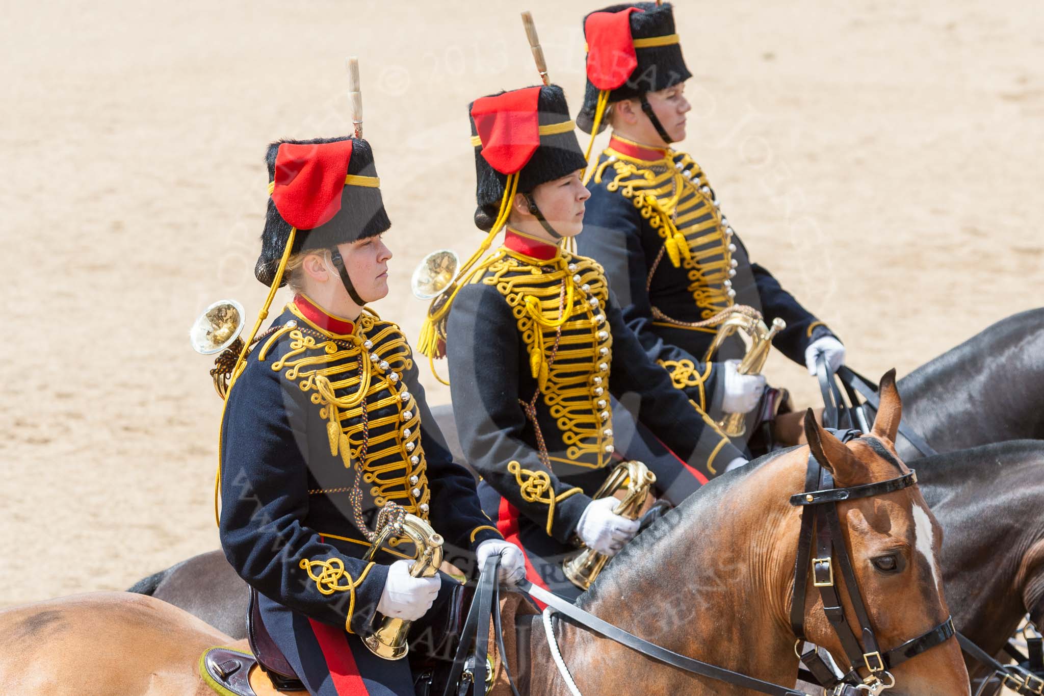 The Colonel's Review 2015.
Horse Guards Parade, Westminster,
London,

United Kingdom,
on 06 June 2015 at 11:52, image #483