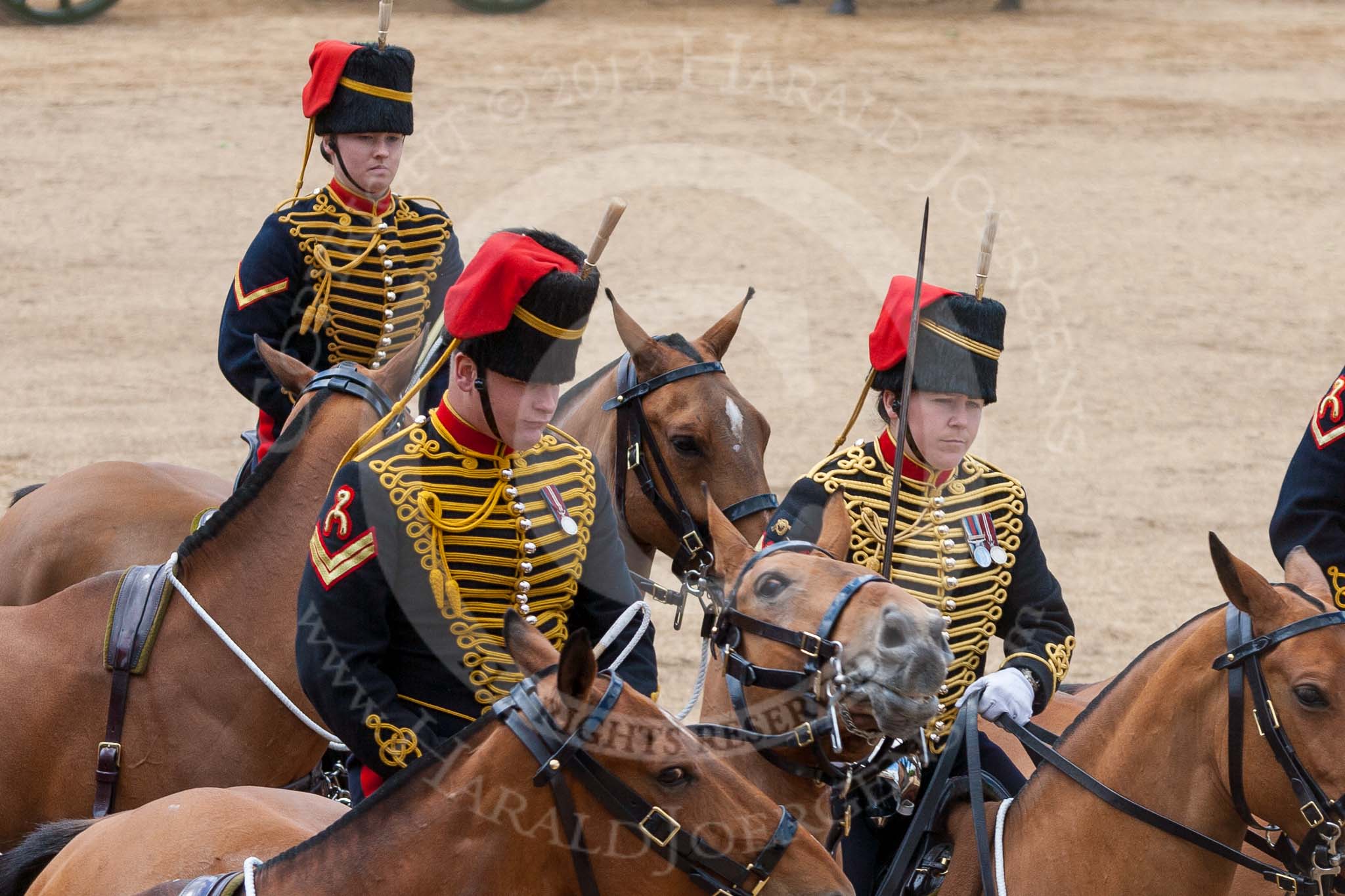 The Colonel's Review 2015.
Horse Guards Parade, Westminster,
London,

United Kingdom,
on 06 June 2015 at 11:56, image #518