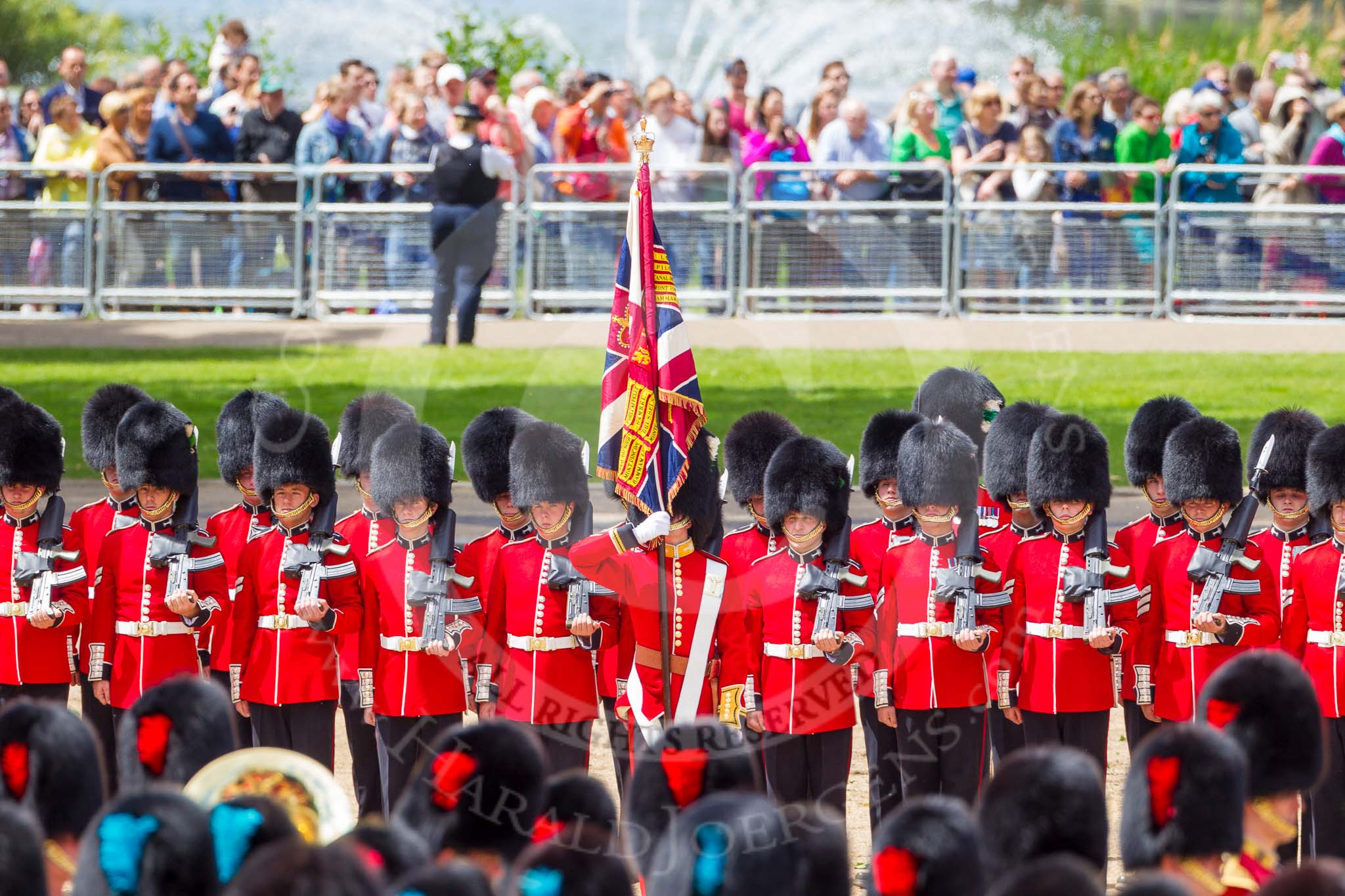The Colonel's Review 2015.
Horse Guards Parade, Westminster,
London,

United Kingdom,
on 06 June 2015 at 11:59, image #555