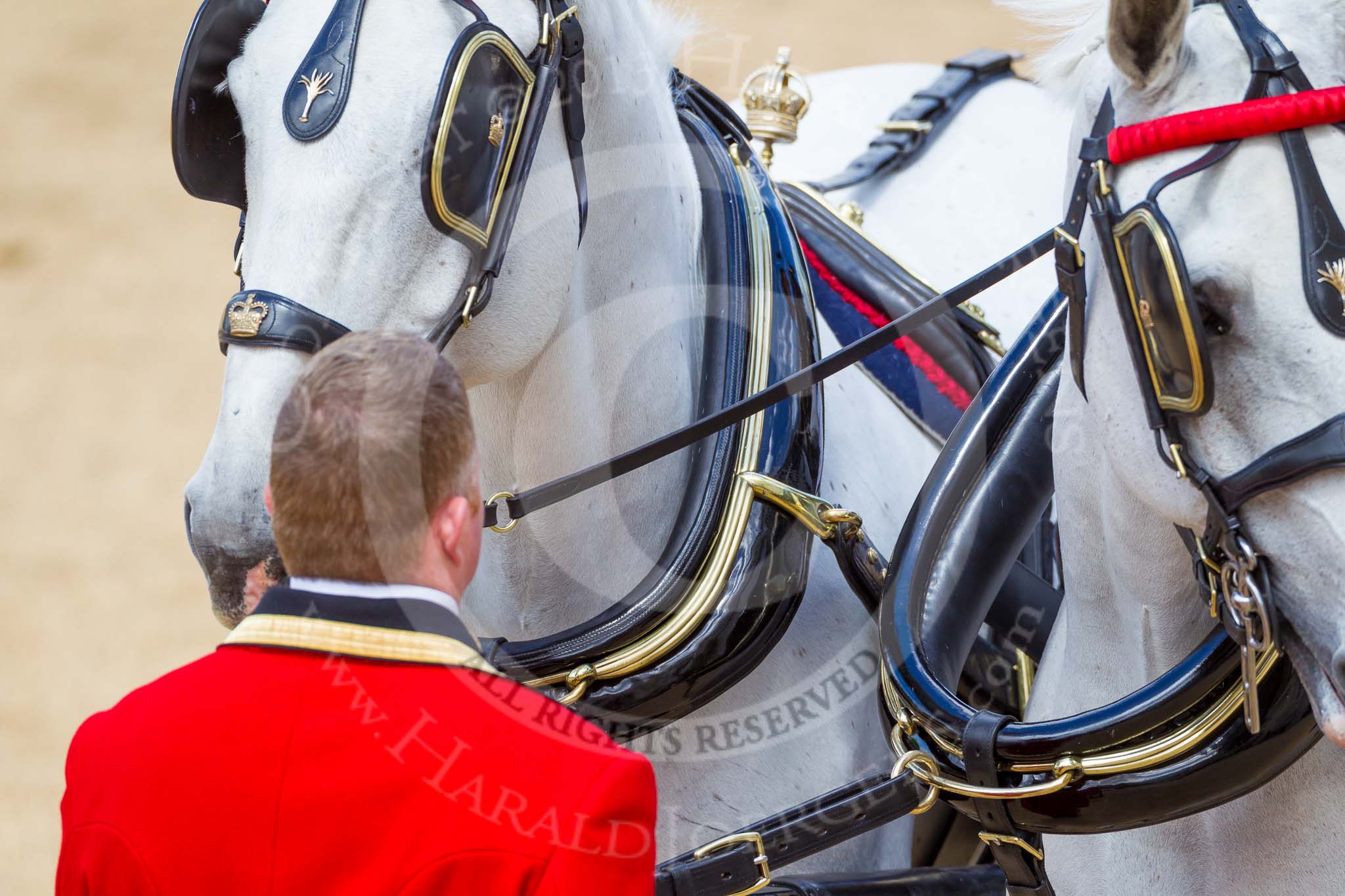 The Colonel's Review 2015.
Horse Guards Parade, Westminster,
London,

United Kingdom,
on 06 June 2015 at 12:06, image #576