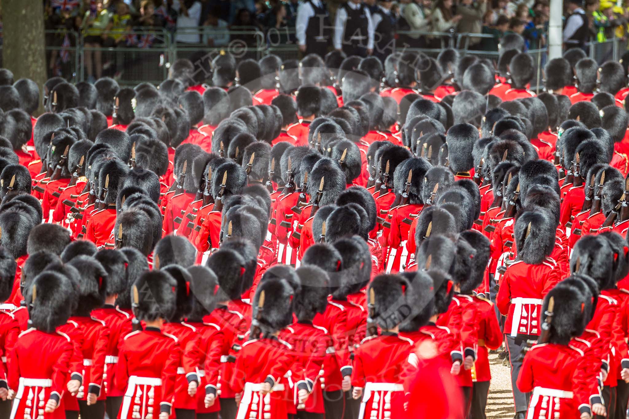 The Colonel's Review 2015.
Horse Guards Parade, Westminster,
London,

United Kingdom,
on 06 June 2015 at 12:10, image #591