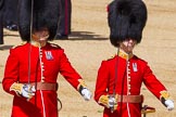 The Colonel's Review 2015.
Horse Guards Parade, Westminster,
London,

United Kingdom,
on 06 June 2015 at 10:29, image #79