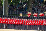 The Colonel's Review 2015.
Horse Guards Parade, Westminster,
London,

United Kingdom,
on 06 June 2015 at 10:30, image #82