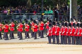 The Colonel's Review 2015.
Horse Guards Parade, Westminster,
London,

United Kingdom,
on 06 June 2015 at 10:30, image #84