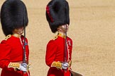 The Colonel's Review 2015.
Horse Guards Parade, Westminster,
London,

United Kingdom,
on 06 June 2015 at 10:30, image #85