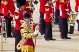 The Colonel's Review 2015.
Horse Guards Parade, Westminster,
London,

United Kingdom,
on 06 June 2015 at 10:31, image #90