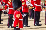 The Colonel's Review 2015.
Horse Guards Parade, Westminster,
London,

United Kingdom,
on 06 June 2015 at 10:31, image #91