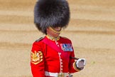 The Colonel's Review 2015.
Horse Guards Parade, Westminster,
London,

United Kingdom,
on 06 June 2015 at 10:33, image #99