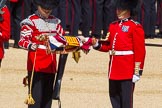 The Colonel's Review 2015.
Horse Guards Parade, Westminster,
London,

United Kingdom,
on 06 June 2015 at 10:35, image #105