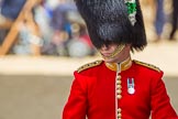 The Colonel's Review 2015.
Horse Guards Parade, Westminster,
London,

United Kingdom,
on 06 June 2015 at 10:40, image #126