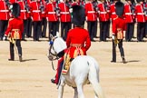 The Colonel's Review 2015.
Horse Guards Parade, Westminster,
London,

United Kingdom,
on 06 June 2015 at 10:41, image #130