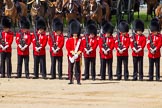 The Colonel's Review 2015.
Horse Guards Parade, Westminster,
London,

United Kingdom,
on 06 June 2015 at 10:47, image #140