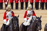 The Colonel's Review 2015.
Horse Guards Parade, Westminster,
London,

United Kingdom,
on 06 June 2015 at 11:04, image #228