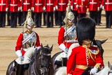 The Colonel's Review 2015.
Horse Guards Parade, Westminster,
London,

United Kingdom,
on 06 June 2015 at 11:04, image #229