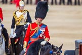 The Colonel's Review 2015.
Horse Guards Parade, Westminster,
London,

United Kingdom,
on 06 June 2015 at 11:05, image #231