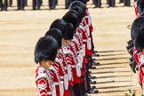 The Colonel's Review 2015.
Horse Guards Parade, Westminster,
London,

United Kingdom,
on 06 June 2015 at 11:08, image #262