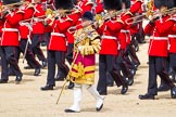 The Colonel's Review 2015.
Horse Guards Parade, Westminster,
London,

United Kingdom,
on 06 June 2015 at 11:10, image #268