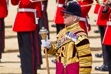 The Colonel's Review 2015.
Horse Guards Parade, Westminster,
London,

United Kingdom,
on 06 June 2015 at 11:10, image #271