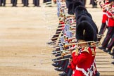 The Colonel's Review 2015.
Horse Guards Parade, Westminster,
London,

United Kingdom,
on 06 June 2015 at 11:11, image #277