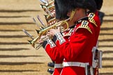 The Colonel's Review 2015.
Horse Guards Parade, Westminster,
London,

United Kingdom,
on 06 June 2015 at 11:11, image #279