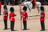 The Colonel's Review 2015.
Horse Guards Parade, Westminster,
London,

United Kingdom,
on 06 June 2015 at 11:19, image #306