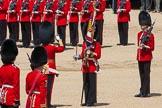 The Colonel's Review 2015.
Horse Guards Parade, Westminster,
London,

United Kingdom,
on 06 June 2015 at 11:20, image #311