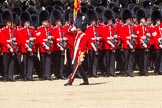 The Colonel's Review 2015.
Horse Guards Parade, Westminster,
London,

United Kingdom,
on 06 June 2015 at 11:24, image #326