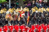 The Colonel's Review 2015.
Horse Guards Parade, Westminster,
London,

United Kingdom,
on 06 June 2015 at 11:24, image #328