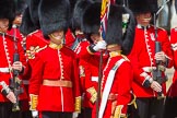 The Colonel's Review 2015.
Horse Guards Parade, Westminster,
London,

United Kingdom,
on 06 June 2015 at 11:24, image #330