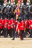 The Colonel's Review 2015.
Horse Guards Parade, Westminster,
London,

United Kingdom,
on 06 June 2015 at 11:25, image #333