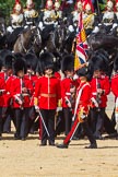 The Colonel's Review 2015.
Horse Guards Parade, Westminster,
London,

United Kingdom,
on 06 June 2015 at 11:25, image #335