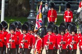 The Colonel's Review 2015.
Horse Guards Parade, Westminster,
London,

United Kingdom,
on 06 June 2015 at 11:26, image #337