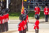 The Colonel's Review 2015.
Horse Guards Parade, Westminster,
London,

United Kingdom,
on 06 June 2015 at 11:29, image #343