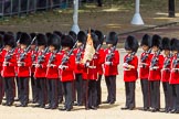 The Colonel's Review 2015.
Horse Guards Parade, Westminster,
London,

United Kingdom,
on 06 June 2015 at 11:29, image #344