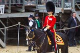 The Colonel's Review 2015.
Horse Guards Parade, Westminster,
London,

United Kingdom,
on 06 June 2015 at 11:30, image #346