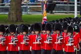 The Colonel's Review 2015.
Horse Guards Parade, Westminster,
London,

United Kingdom,
on 06 June 2015 at 11:30, image #349