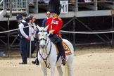 The Colonel's Review 2015.
Horse Guards Parade, Westminster,
London,

United Kingdom,
on 06 June 2015 at 11:31, image #351