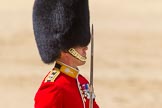 The Colonel's Review 2015.
Horse Guards Parade, Westminster,
London,

United Kingdom,
on 06 June 2015 at 11:32, image #366
