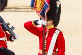 The Colonel's Review 2015.
Horse Guards Parade, Westminster,
London,

United Kingdom,
on 06 June 2015 at 11:33, image #372