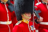 The Colonel's Review 2015.
Horse Guards Parade, Westminster,
London,

United Kingdom,
on 06 June 2015 at 11:34, image #379