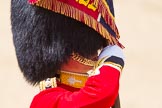 The Colonel's Review 2015.
Horse Guards Parade, Westminster,
London,

United Kingdom,
on 06 June 2015 at 11:34, image #381