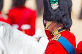 The Colonel's Review 2015.
Horse Guards Parade, Westminster,
London,

United Kingdom,
on 06 June 2015 at 11:37, image #396