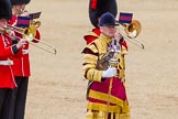 The Colonel's Review 2015.
Horse Guards Parade, Westminster,
London,

United Kingdom,
on 06 June 2015 at 11:37, image #402