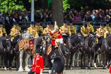 The Colonel's Review 2015.
Horse Guards Parade, Westminster,
London,

United Kingdom,
on 06 June 2015 at 11:39, image #412