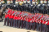 The Colonel's Review 2015.
Horse Guards Parade, Westminster,
London,

United Kingdom,
on 06 June 2015 at 11:40, image #415