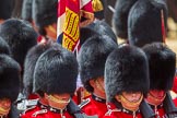 The Colonel's Review 2015.
Horse Guards Parade, Westminster,
London,

United Kingdom,
on 06 June 2015 at 11:42, image #428
