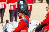 The Colonel's Review 2015.
Horse Guards Parade, Westminster,
London,

United Kingdom,
on 06 June 2015 at 11:44, image #433